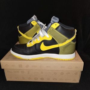 Nike Dunk High
